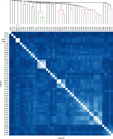 A new article of our group published at Drug Discovery Today